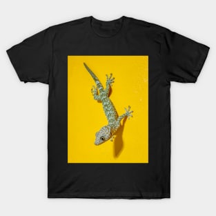 Tokay Gecko T-Shirt